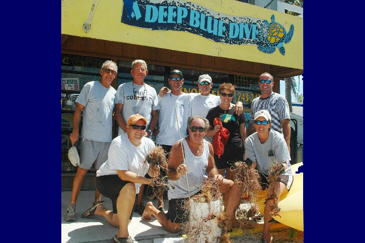 A Deep Blue Dive-Dive Shop