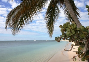 Sombrero Beach  Florida Keys Beaches near Coral Lagoon
