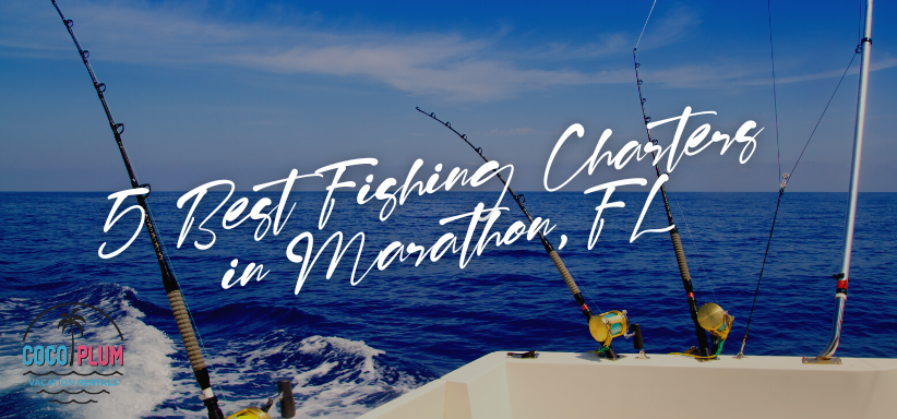 5 Best Fishing Charters in Marathon, FL