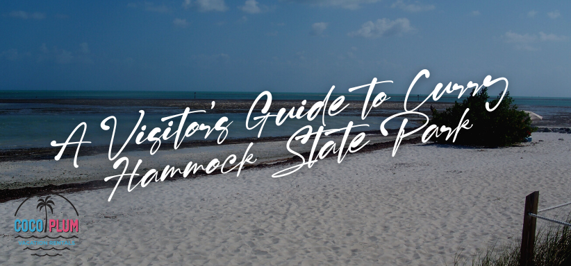 A Visitors Guide to Curry Hammock State Park