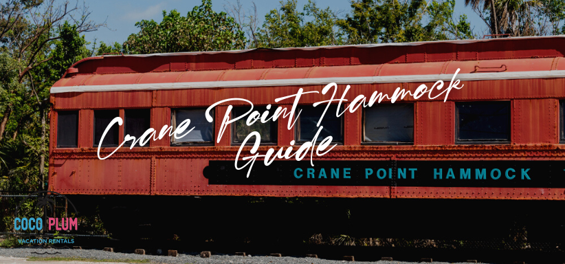 Crane Point Hammock: A Visitors Guide