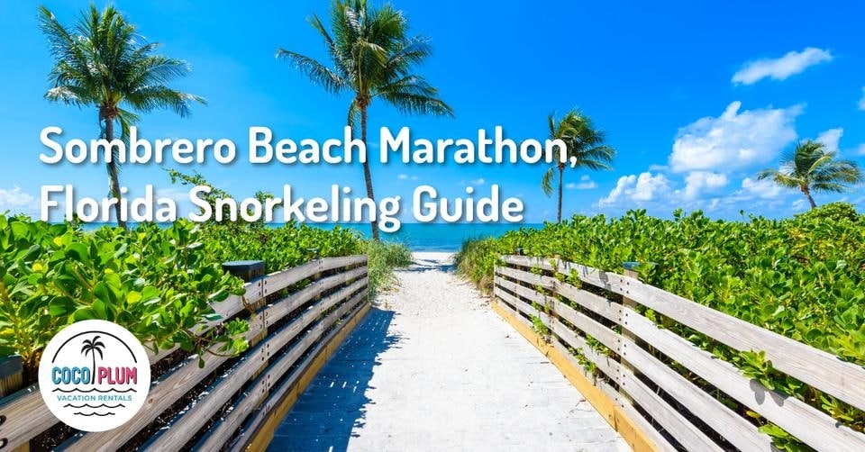 Sombrero Beach Snorkeling Guide