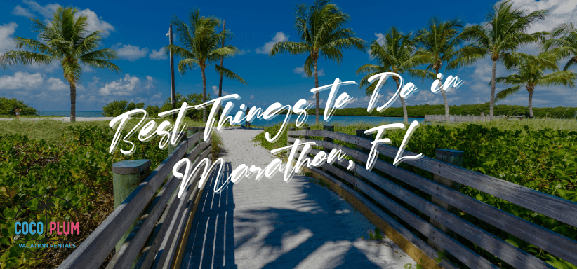 25 Best Things to Do in Marathon, FL
